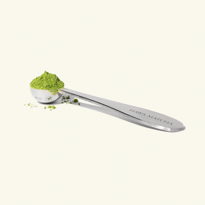 Measuring Spoon